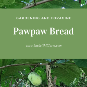 Pawpaw Bread