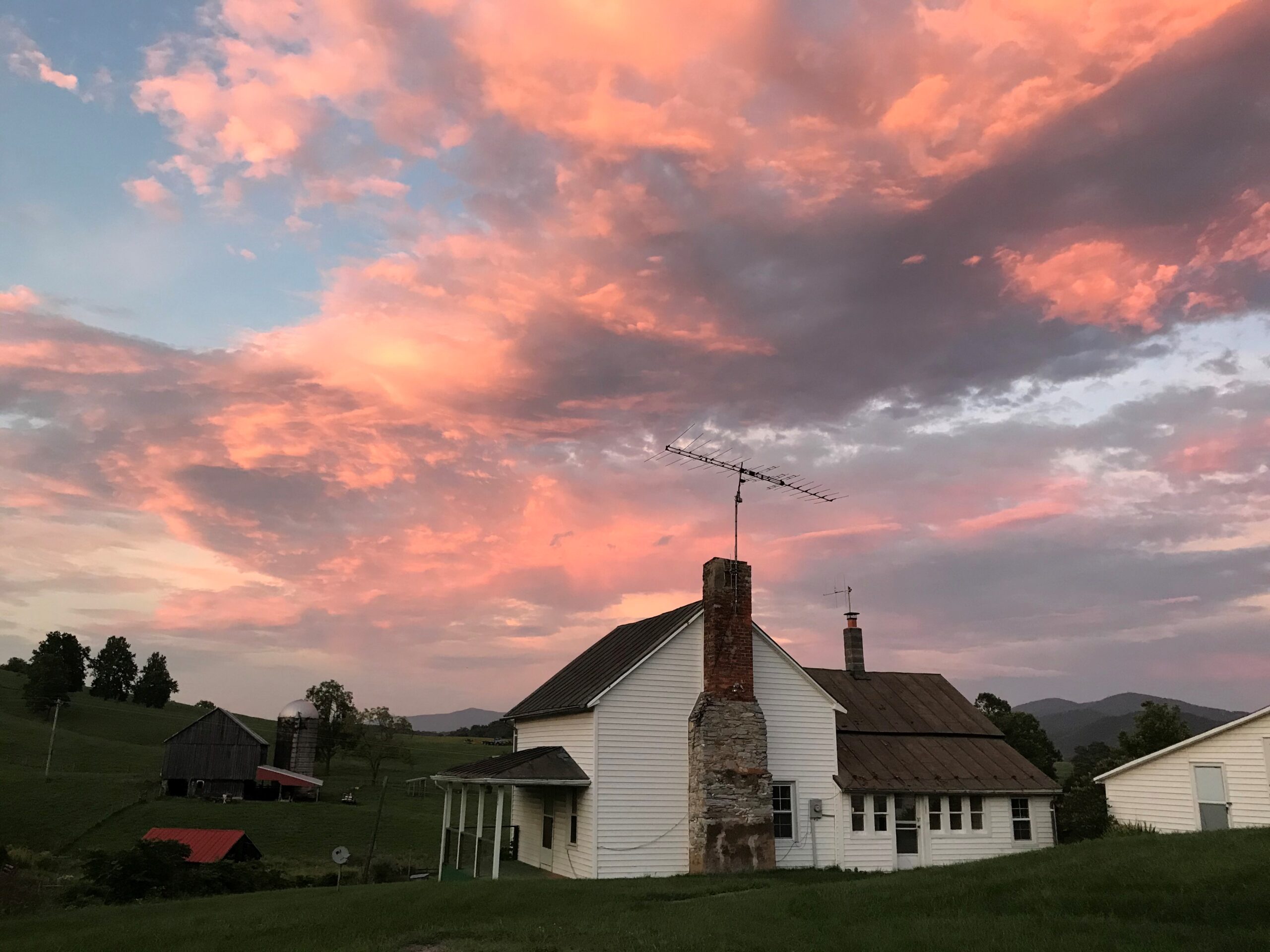 Start a homestead