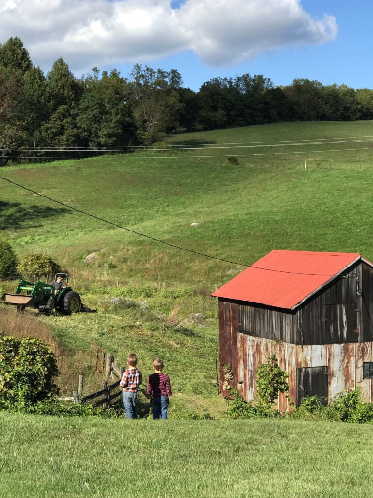 Start a homestead