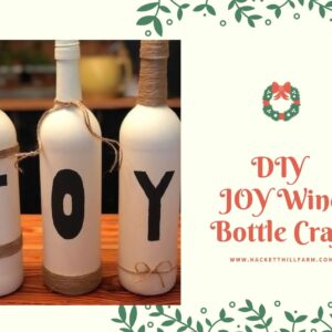 DIYJOYWineBottleCraft