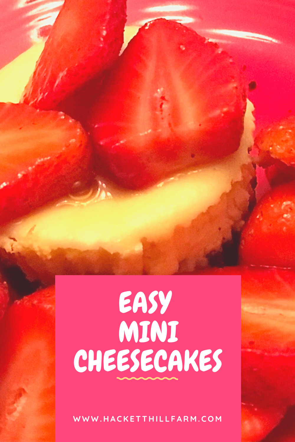 Easy Mini Cheesecake