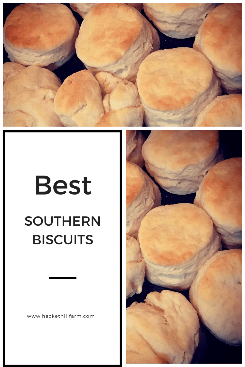 Best Southern Biscuits