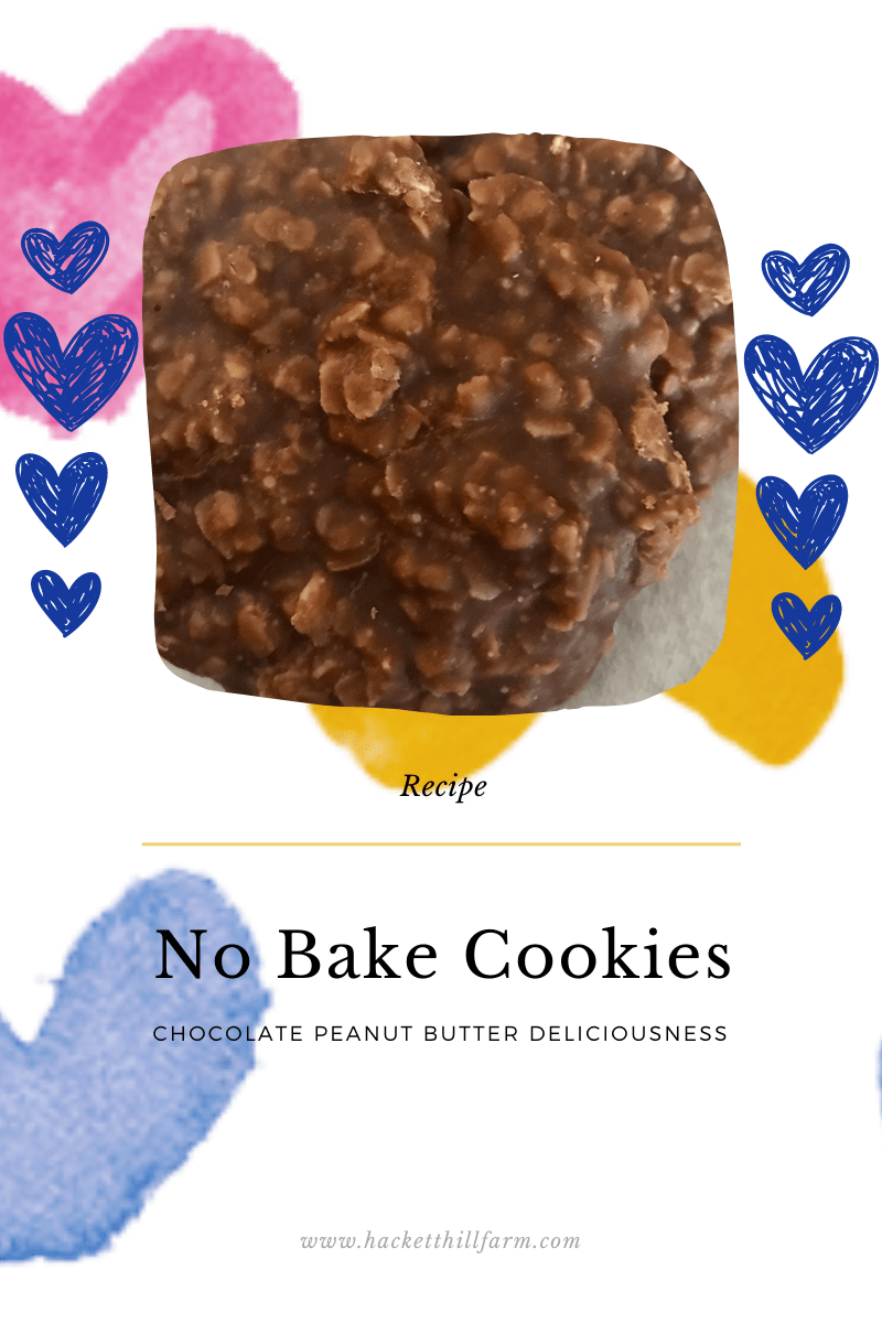 No Bake Cookie
