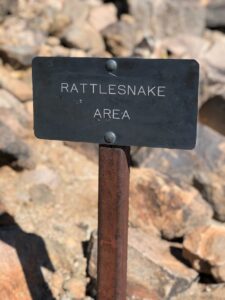 Rattlesnake Territory