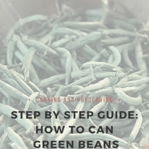 Can Green Beans