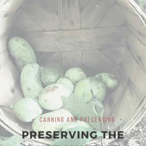 preserving pawpaw fruit