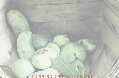 preserving pawpaw fruit