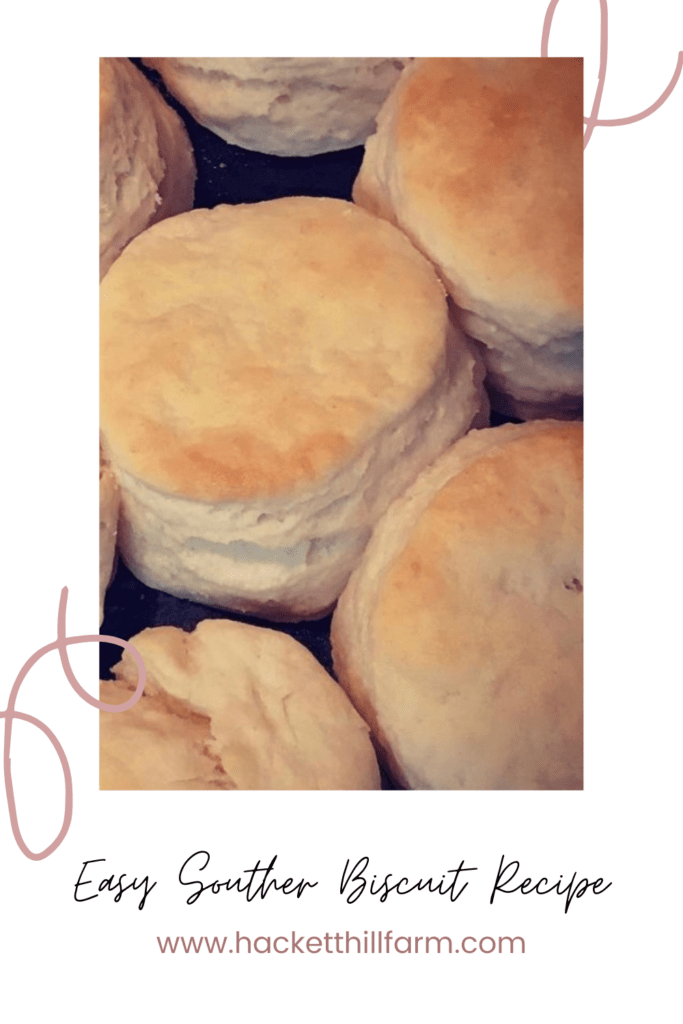 Easy Southern Biscuit Recipe From Scratch