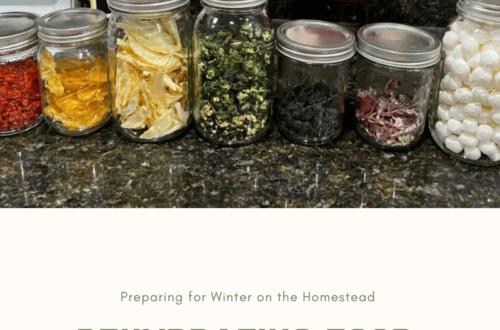 Preparing Food For Winter
