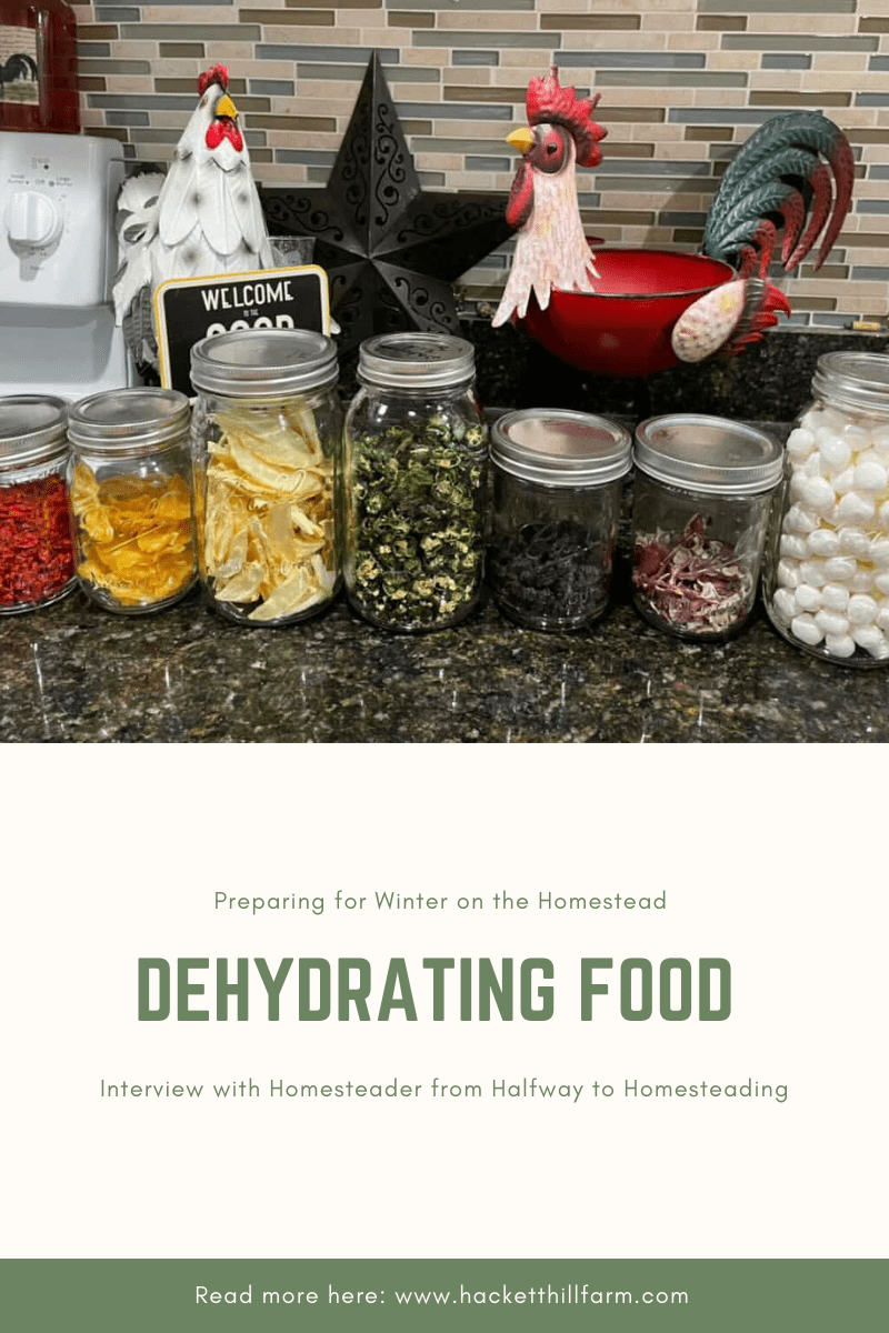 Preparing for Winter on the Homestead- Dehydrating Food