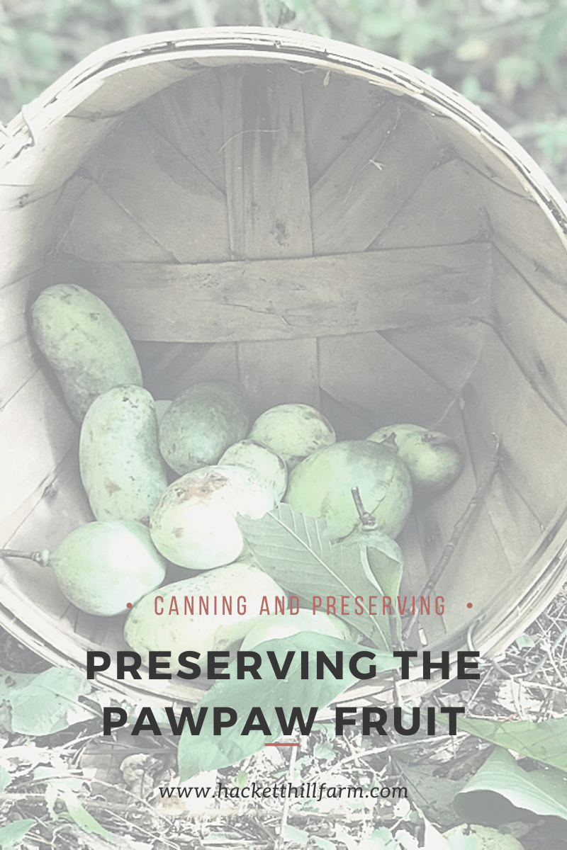 preserving pawpaw fruit