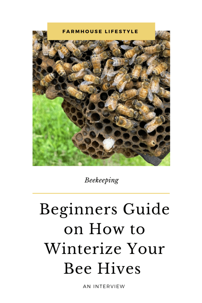beginners guide to bee keeping