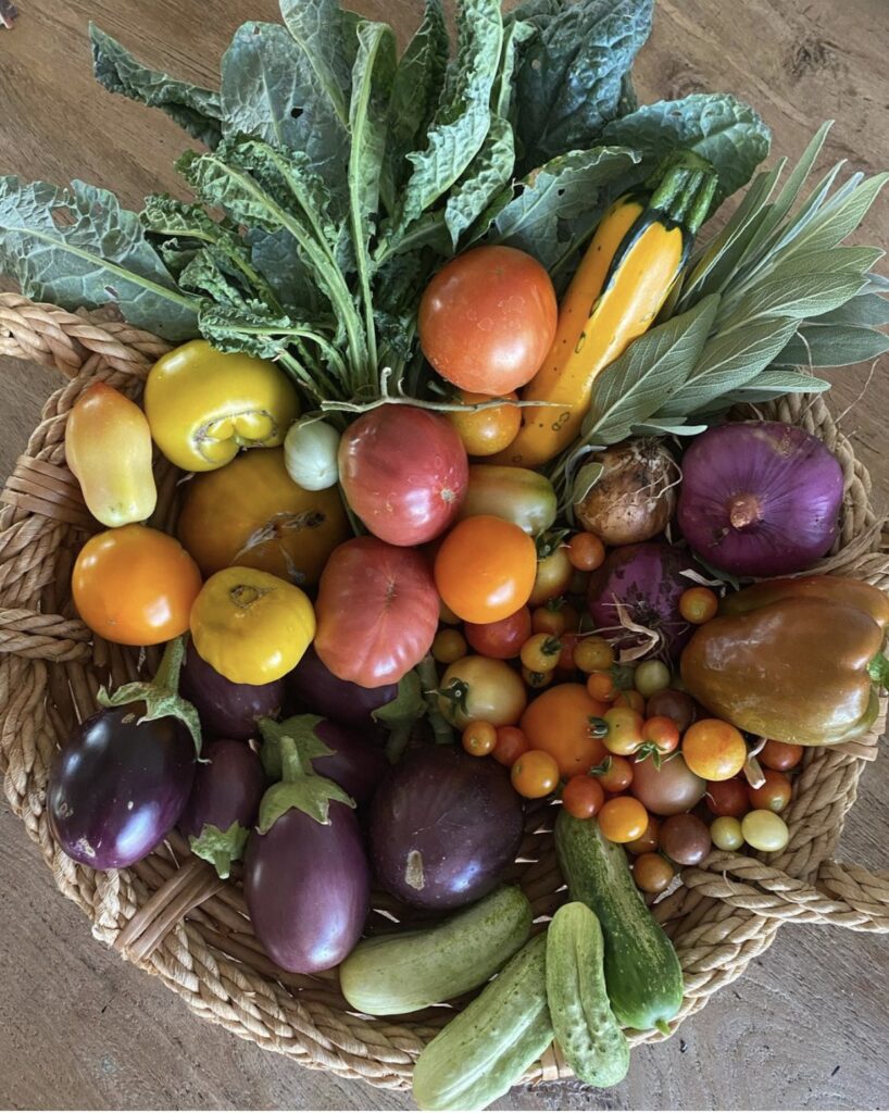 Garden Bounty