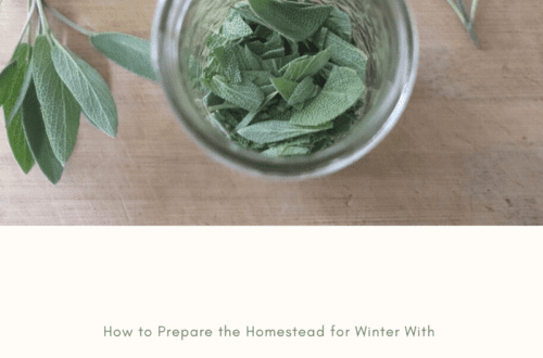 https://hacketthillfarm.com/wp-content/uploads/2021/11/How-to-Prepare-the-Homestead-for-Winter-With-500x330.png