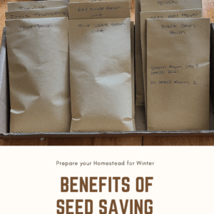 seed saving and its benefits with how to