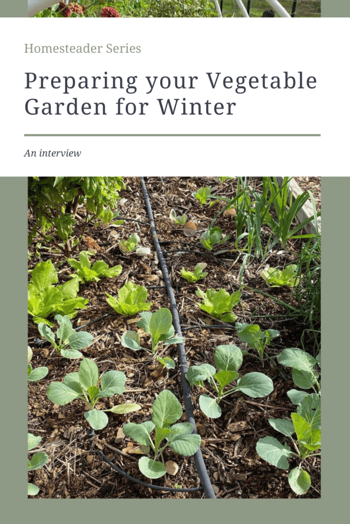 preparing the garden for winter