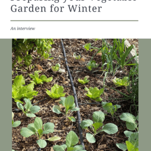 preparing the garden for winter