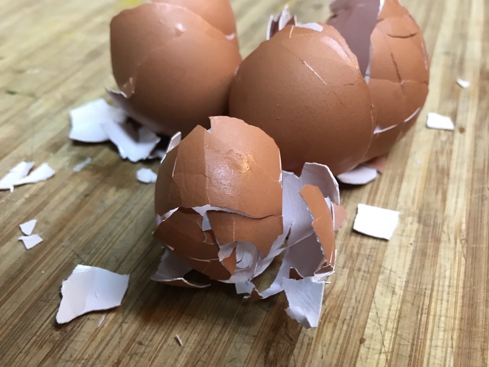 egg shells can be used as a calcium supplement for chickens and plants