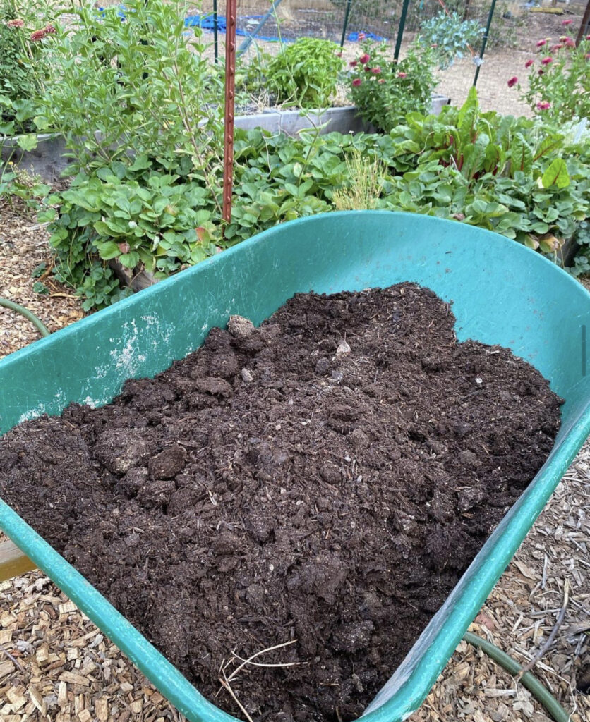 Compost makes rich soil for growing