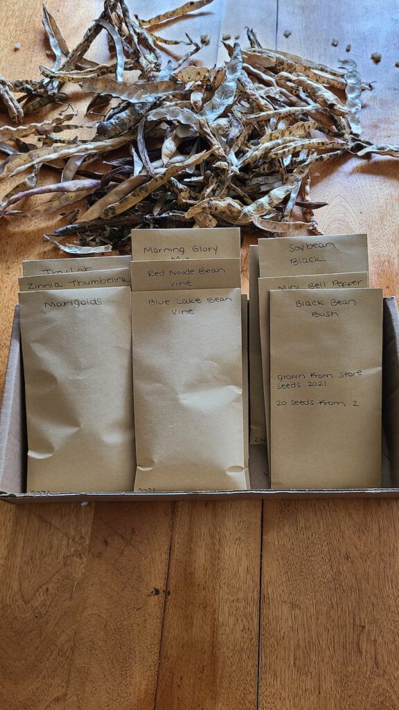 Dried seeds in packets