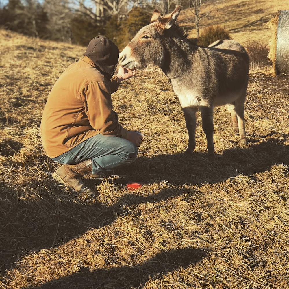 Donkey and owner