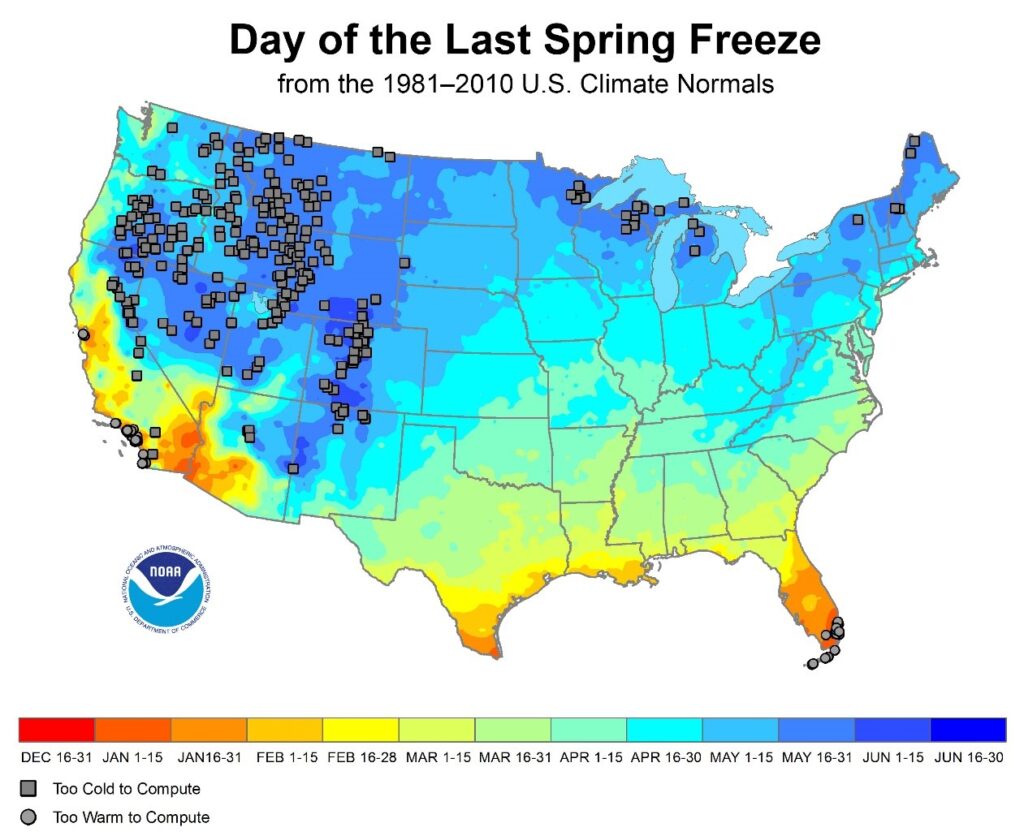 Average last frost 