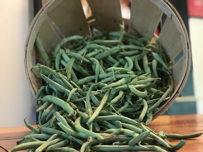 Green beans start a homestead