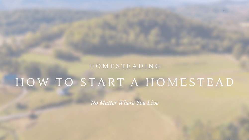 How to start a homestead