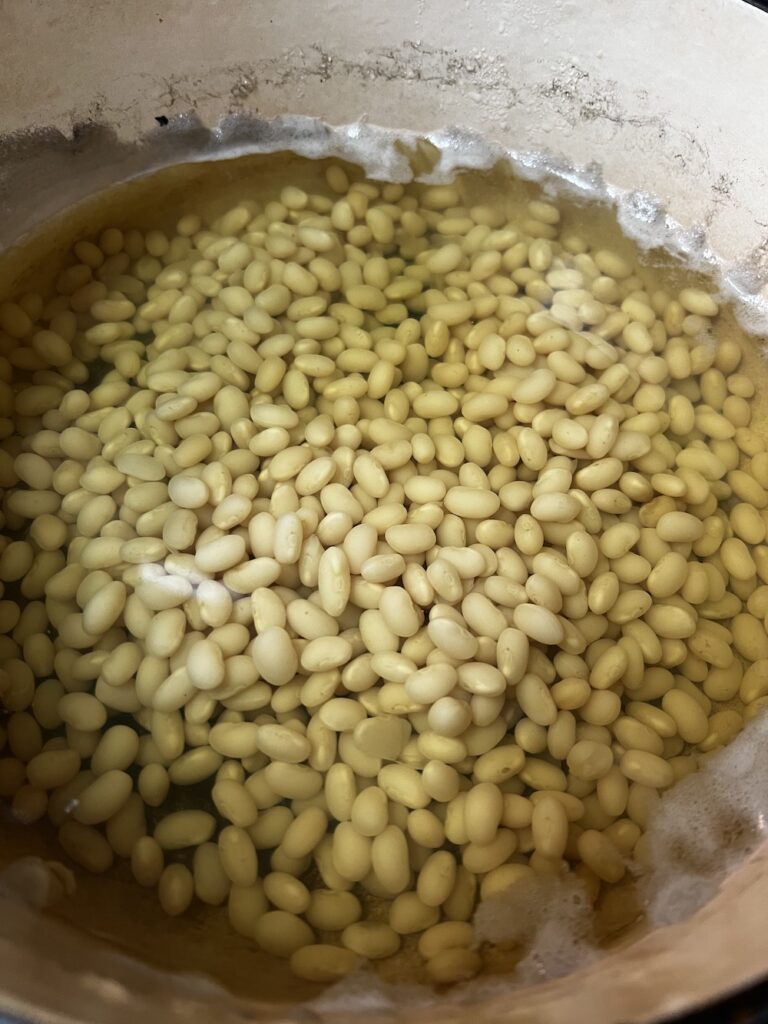 navy beans