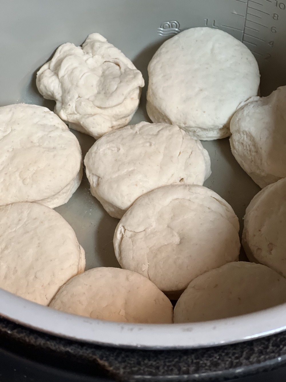 How to Make Sourdough Discard Biscuits (Ninja Foodi) Hackett Hill Farm