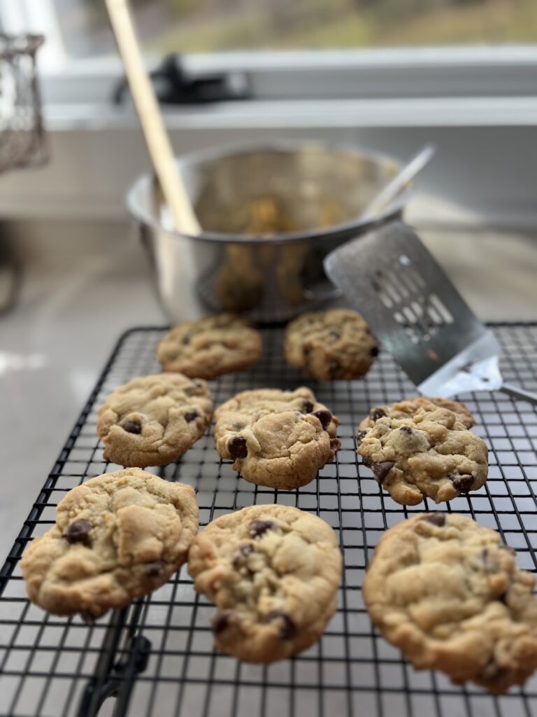 chocolate chip cookies fresh from the oven