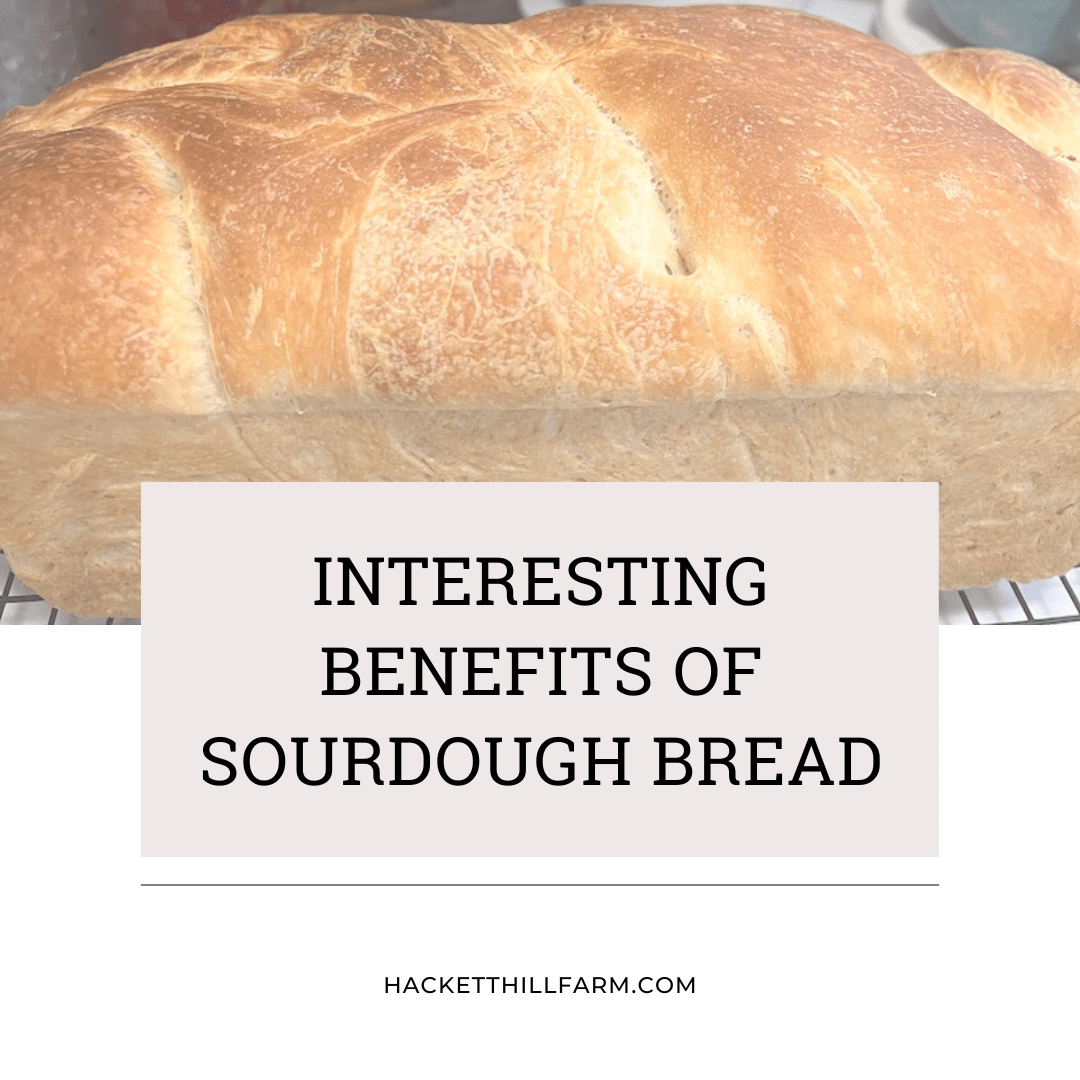 Sourdough bread faq