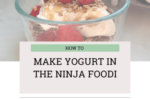 yogurt in ninja foodi