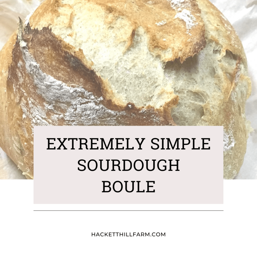 Extremely Simple Sourdough Boule Recipe | Hackett Hill Farm