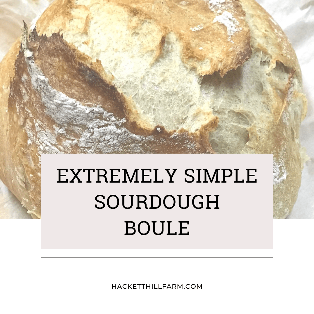 Simple Sourdough Boule