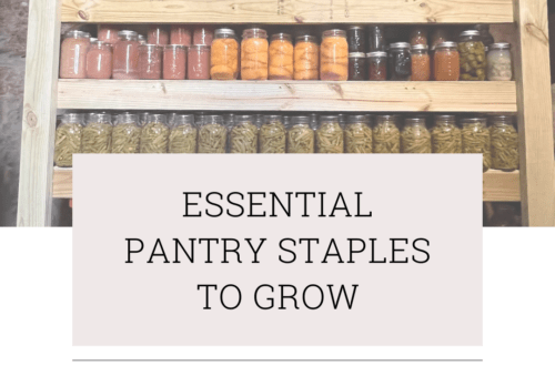 essential pantry staples