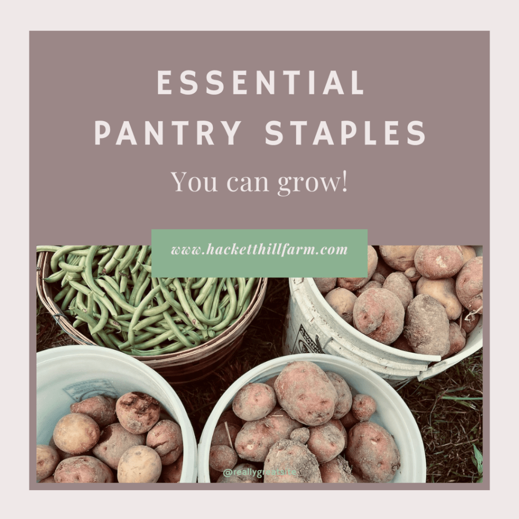 Essential Pantry Staples Header